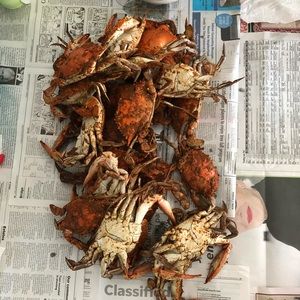 Meet your Posher, Kaitlyn